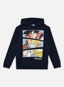 Sweats à capuche Nkmjil Dragon Nreg Swe Wh Bru Noos Vde garçon bleu