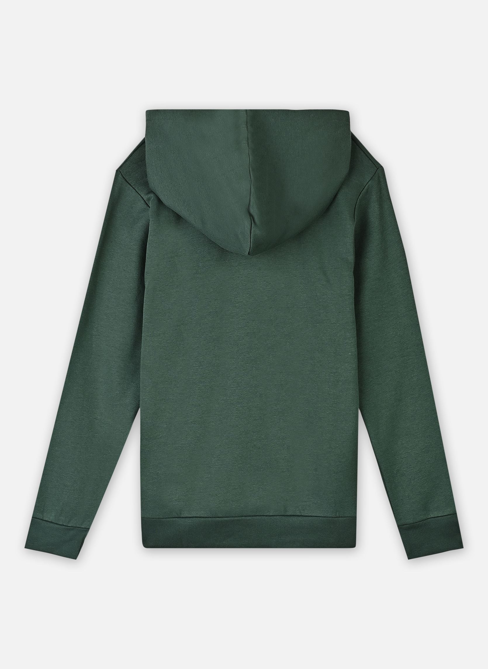 Sweats à capuche Nkmnole Ls Swe Wh Bru Ps garçon vert Name it Sweats à capuche Nkmnole Ls Swe Wh Bru Ps garçon vert GARDEN TOPIARY