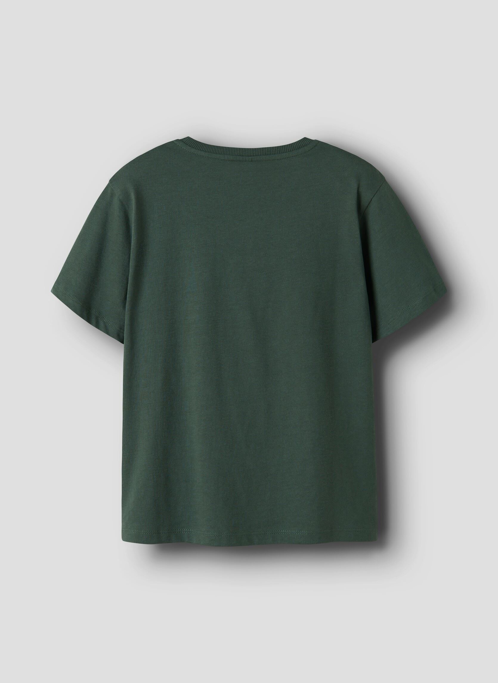 Tee-shirts manches courtes Nkmnotti Ss Nreg Top Ps Noos garçon vert Name it Tee-shirts manches courtes Nkmnotti Ss Nreg Top Ps Noos garçon vert GARDEN TOPIARY