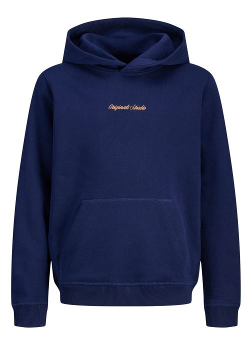 Jack & Jones Sweats à capuche Jornorrebro Emb Sweat Hood Noos Jnr garçon bleu