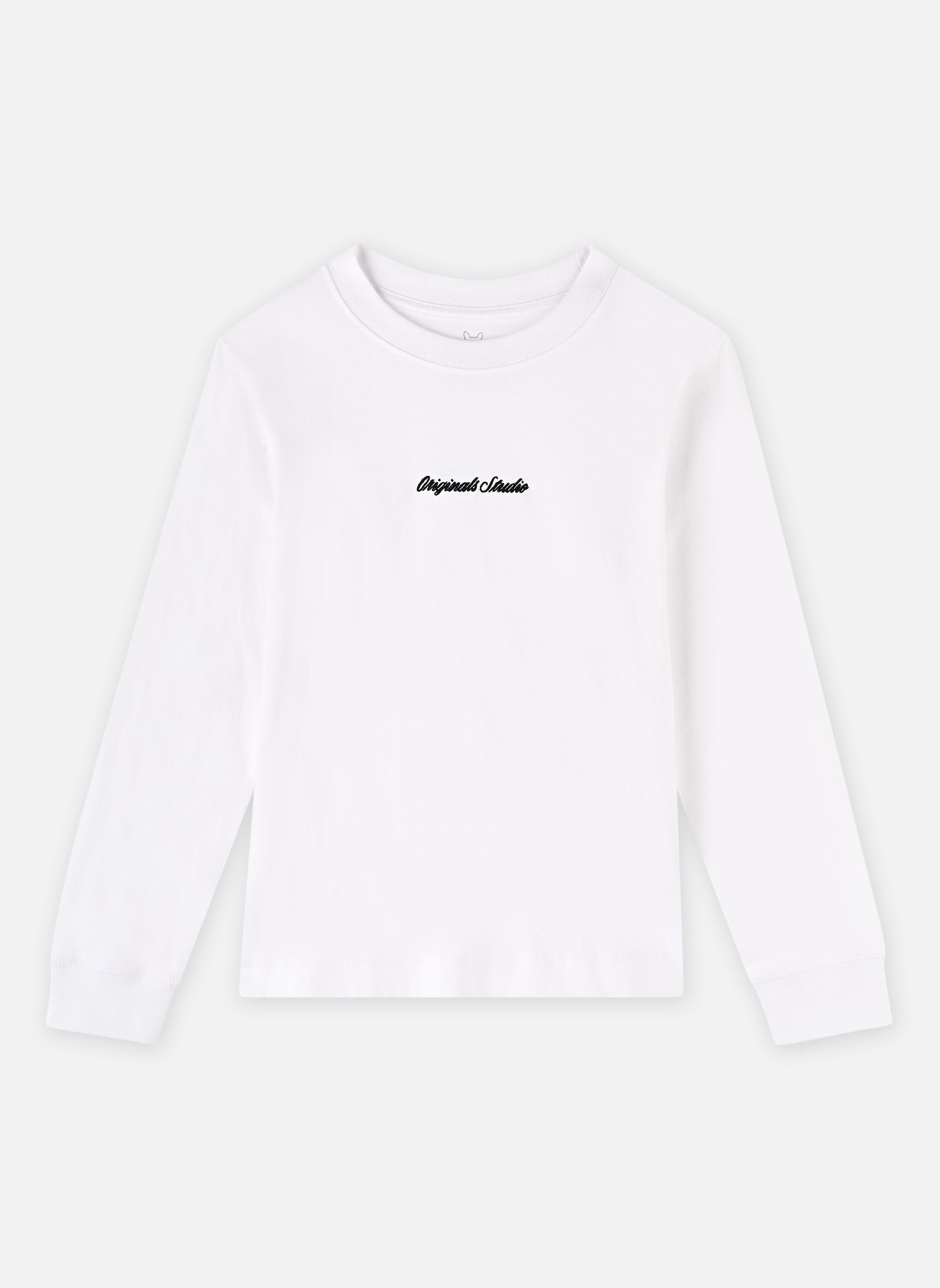 Vêtements Jack & Jones Jornorrebro Emb Tee Ls Crew Neck Jnr pour Accessoires