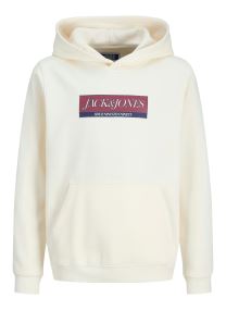 Kapuzenpullover Jorinwood Block Branding Sweat Noos Jnr jungen schwarz