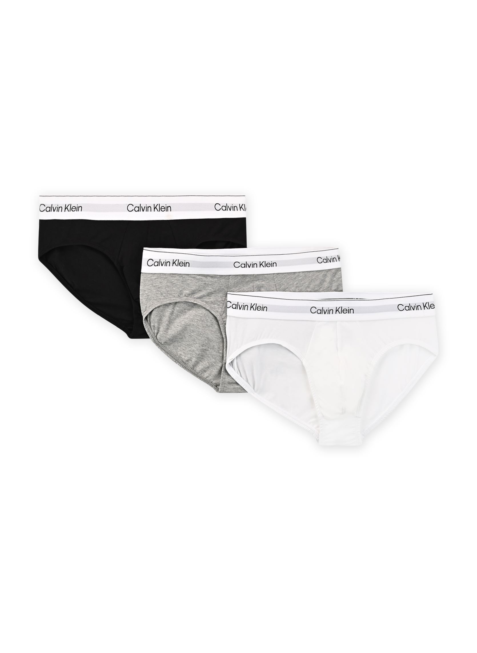 Vêtements Calvin Klein Hip Brief 3Pk LV00NB4388 pour Homme