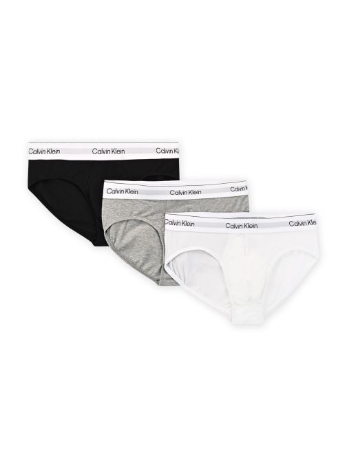 Calvin Klein Sportondergoed Hip Brief 3Pk LV00NB4388 heren zwart