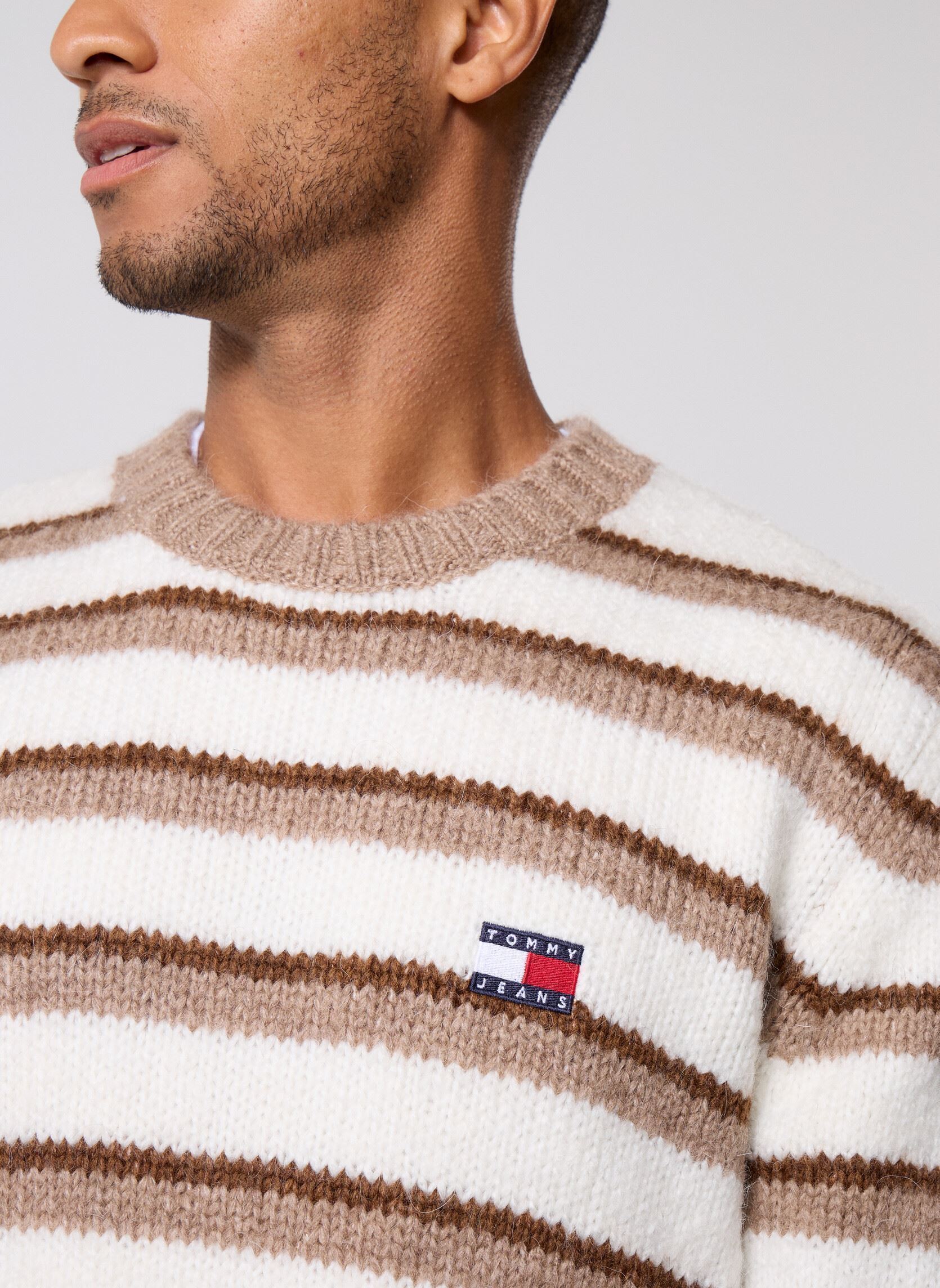 Pullover Tjm Reg Brshd Strpe DM0DM22109 herren beige Tommy Jeans Pullover Tjm Reg Brshd Strpe DM0DM22109 herren beige BEIGE