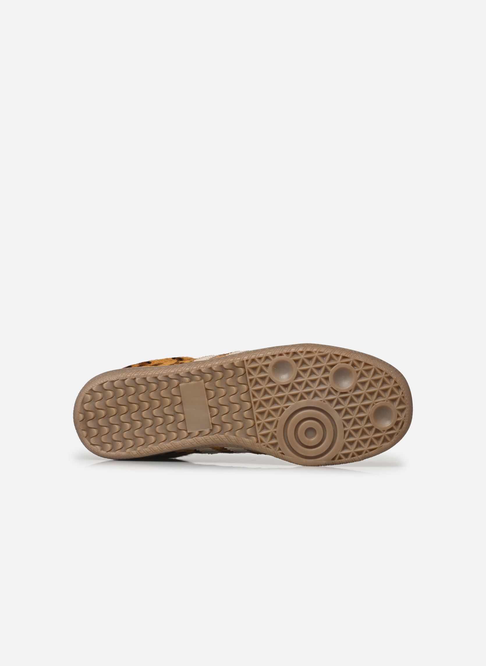 Baskets basses B280105 femme marron IKKS Women Baskets basses B280105 femme marron 63-CAMEL