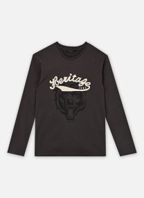 Tee-shirts manches longues X210013 garçon gris
