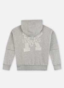 Hoodies X215093 jongens grijs