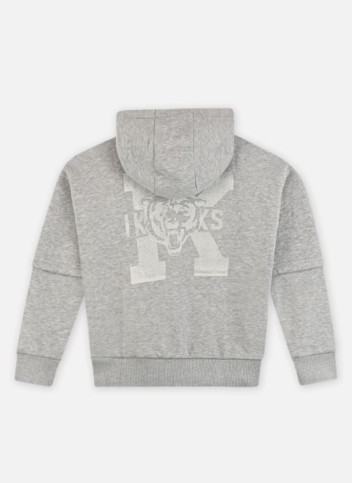 IKKS JUNIOR Sweats à capuche X215093 garçon gris