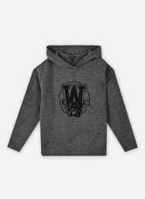 Kapuzenpullover X218023 jungen grau