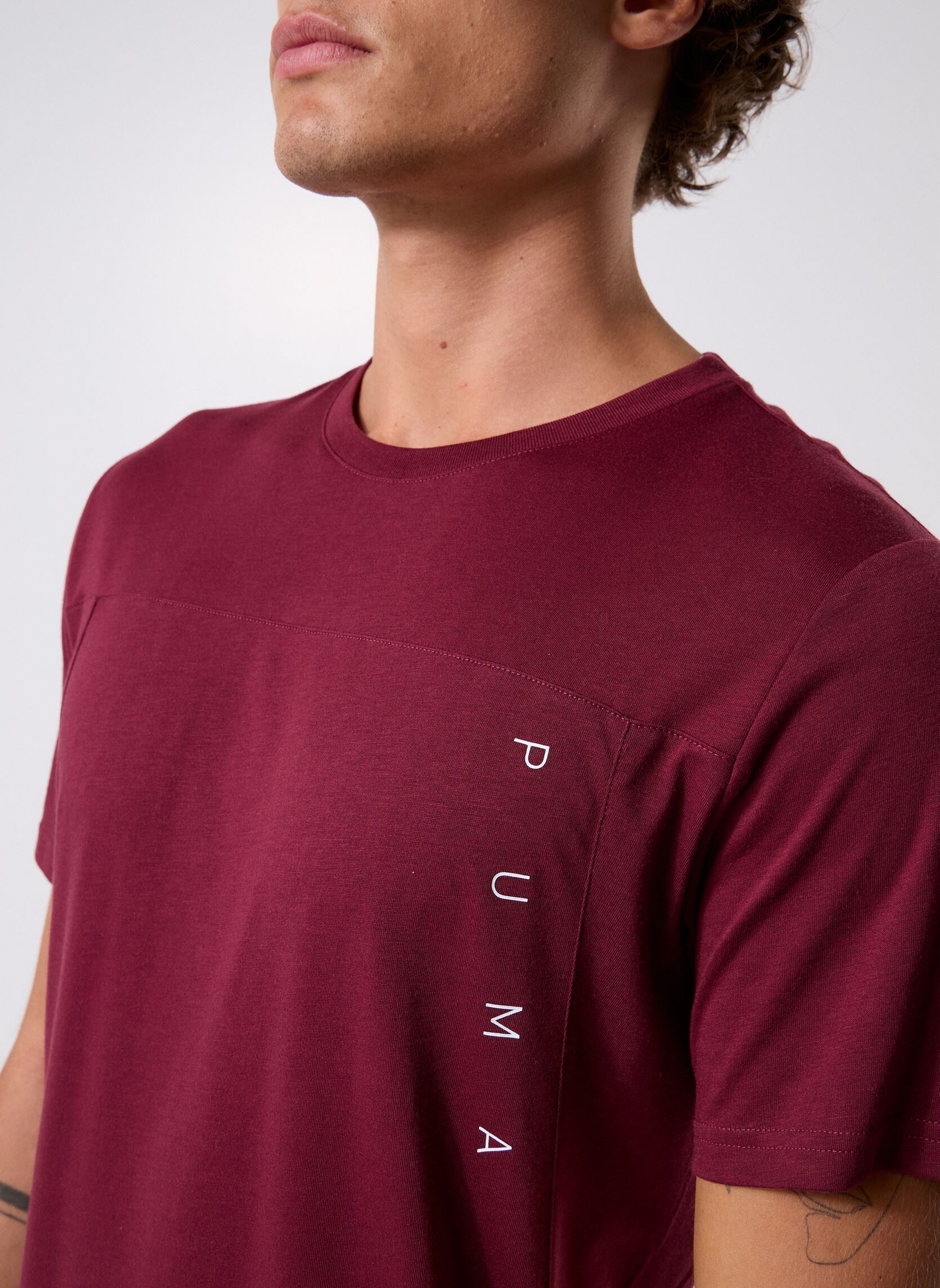 Tee-shirts manches courtes M Tad Tech Triblend Tee homme bordeaux Puma Tee-shirts manches courtes M Tad Tech Triblend Tee homme bordeaux Ruby Shimmer