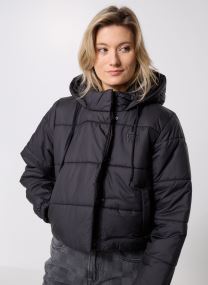 Daunenjacken Hillgate Cropped Puffer damen schwarz Vans Daunenjacken Hillgate Cropped Puffer damen schwarz BLACK