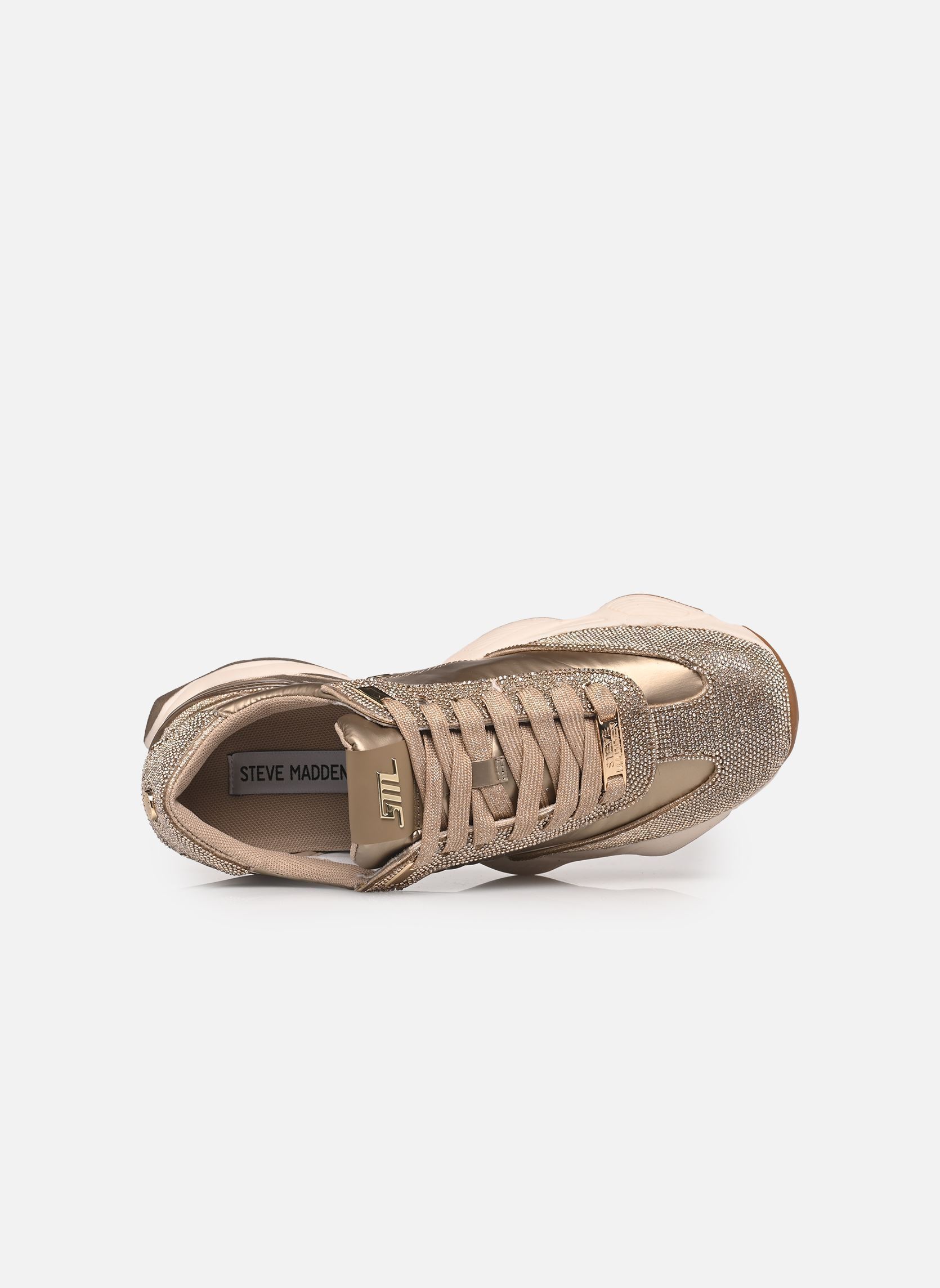 Baskets basses Setback-R femme or et bronze Steve Madden Baskets basses Setback-R femme or et bronze Gold
