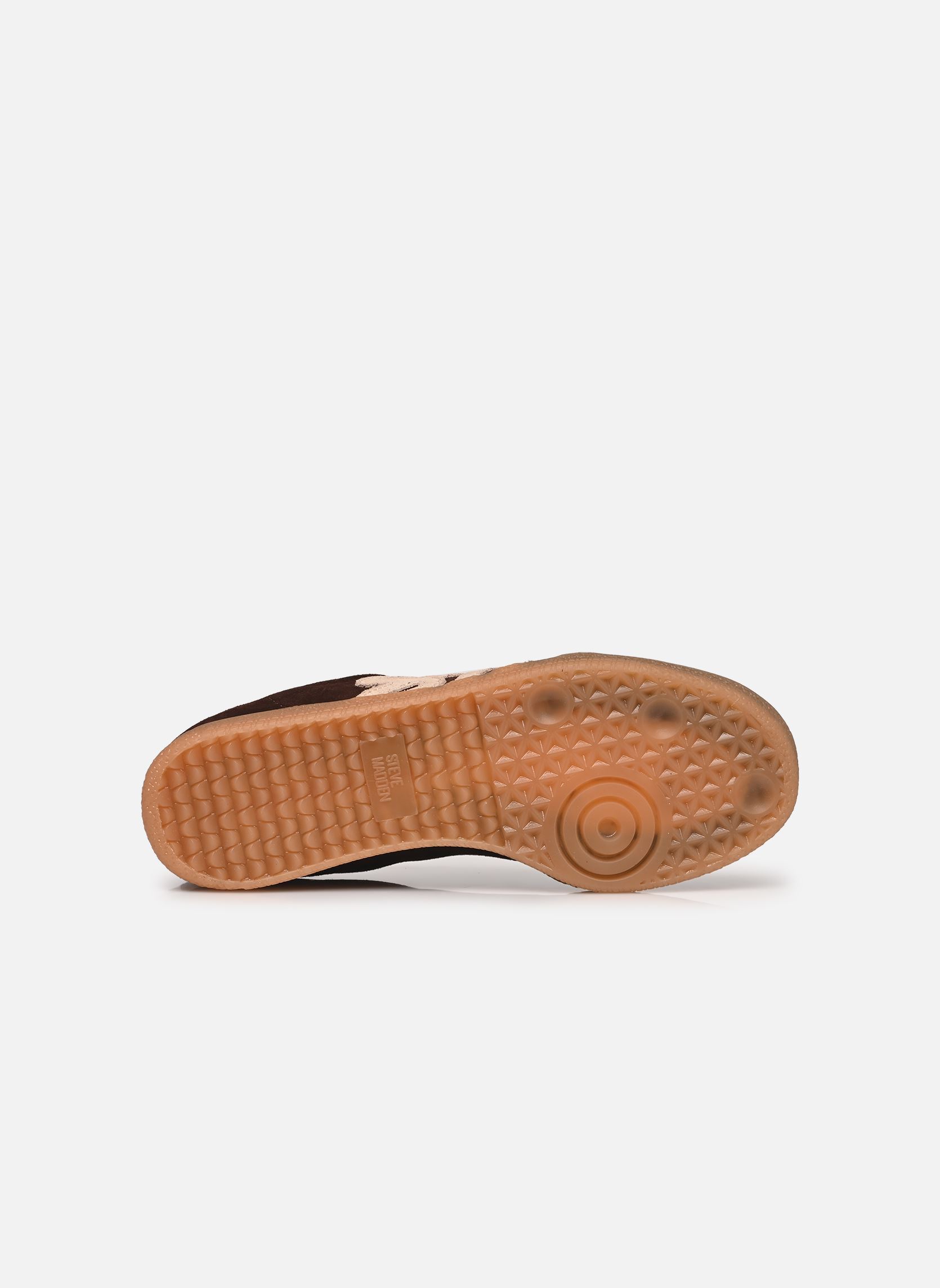 Baskets basses Elora femme marron Steve Madden Baskets basses Elora femme marron DARK BROWN
