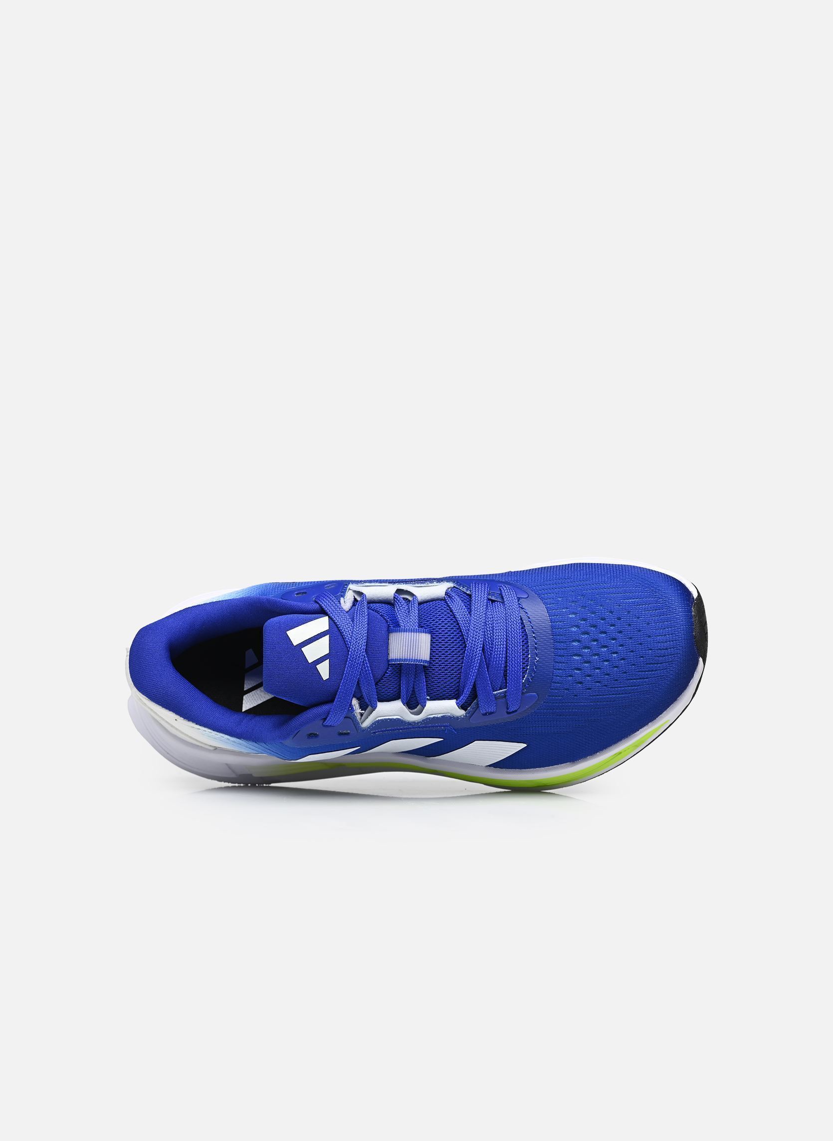 Chaussures de sport Questar 3 M homme bleu adidas performance Chaussures de sport Questar 3 M homme bleu LUCBLU/FTWWHT/LUCLEM