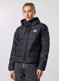 Daunenjacken W ESS LD HD JKT damen schwarz adidas sportswear Daunenjacken W ESS LD HD JKT damen schwarz Black