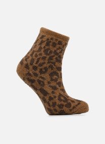 Chaussettes Plaimor Crew marron Vans Chaussettes Plaimor Crew marron DACHSHUND