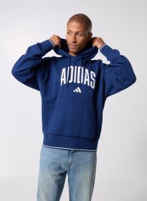 Hoodies M COLLEGIATE HD heren blauw