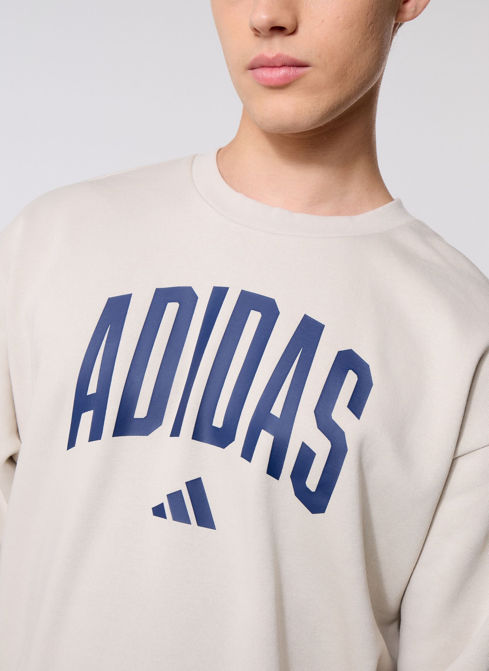 Sweats M COLLEGIATE SW homme beige adidas sportswear Sweats M COLLEGIATE SW homme beige Wonalu/Dkblue
