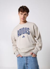 Sweats M COLLEGIATE SW homme beige