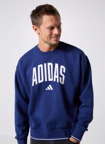 Sweats M COLLEGIATE SW homme beige