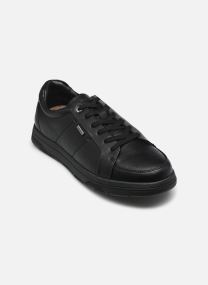 Lage sneakers HIVE M00170 heren zwart