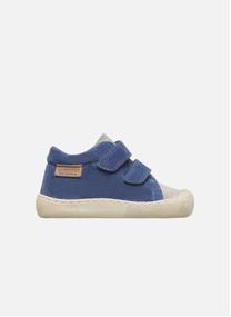 Baskets basses Sneakers BAREFOOT AMUR VL Gris-Bleu- garçon blanc Naturino Baskets basses Sneakers BAREFOOT AMUR VL Gris-Bleu- garçon blanc Blanc & bleu