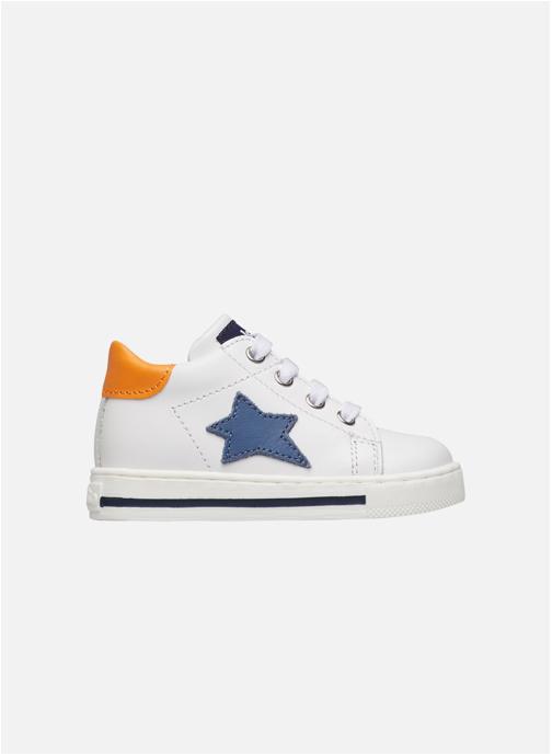 Falcotto Baskets basses Sneakers SASHA Blanc-Bleu clair- garçon blanc