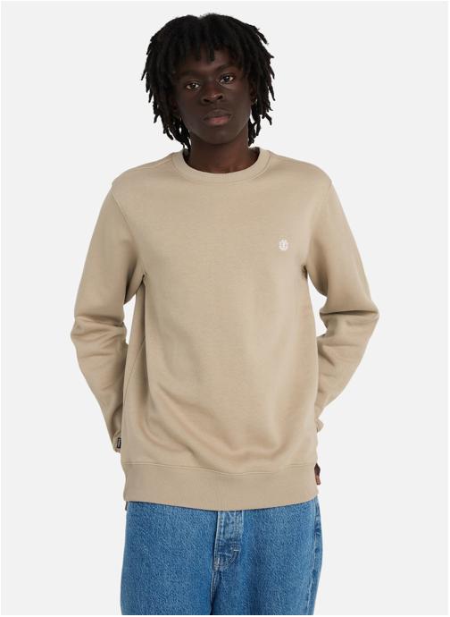Element Sweats à capuche Icon Embroidery Cr homme beige