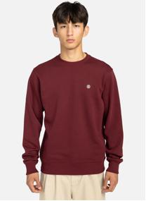 Sweats à capuche Icon Embroidery Cr homme beige