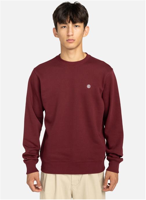 Element Sweats à capuche Icon Embroidery Cr homme rouge