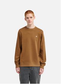 Sweats à capuche Icon Embroidery Cr homme beige