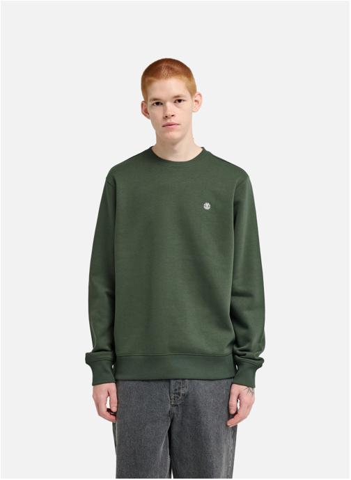 Element Sweats à capuche Icon Embroidery Cr homme vert