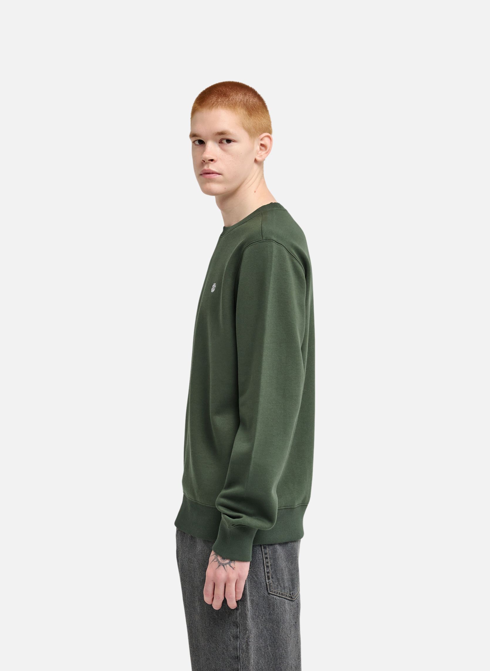 Sweats à capuche Icon Embroidery Cr homme vert Element Sweats à capuche Icon Embroidery Cr homme vert Vert