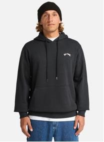 Sweats à capuche Arch Po homme violet