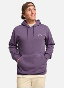 Sweats à capuche Arch Po homme violet