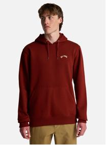 Sweats à capuche Arch Po homme violet