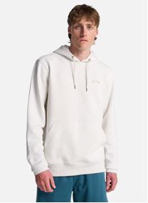 Sweats à capuche Arch Po homme violet