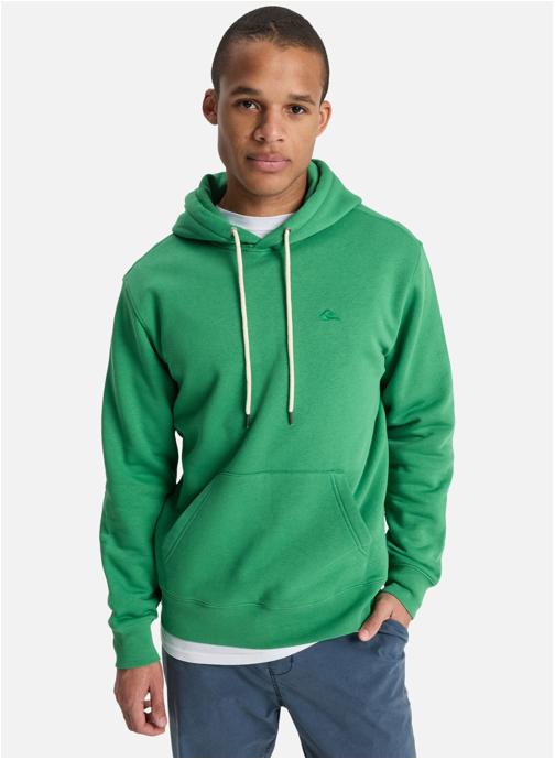 Quiksilver Sweats à capuche Salt Water homme vert