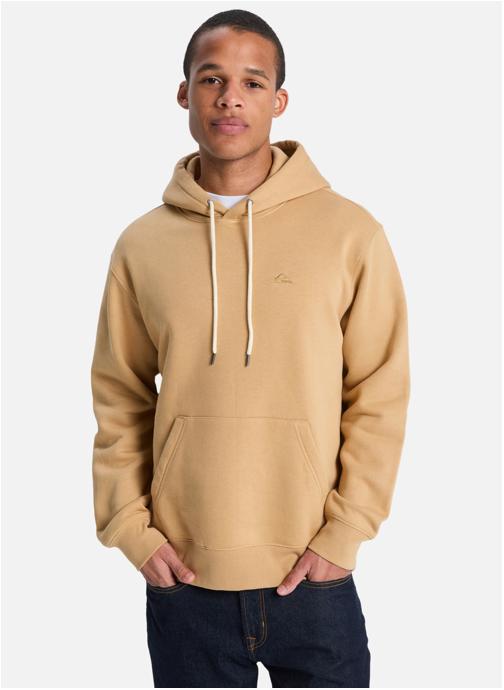 Quiksilver Sweats à capuche Salt Water homme marron