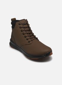 Stiefeletten und Stiefel MASON 2 herren schwarz