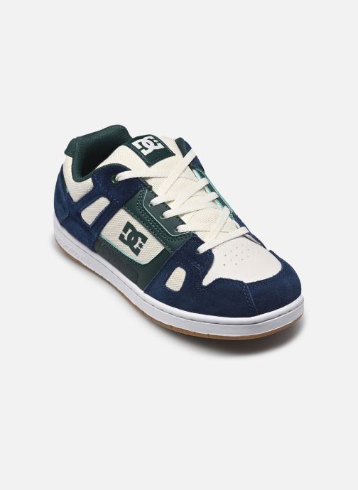 DC Shoes Baskets STAG YOUTH garçon multicolore