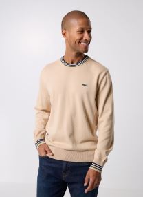 Truien Pull Col Rond AH5158 heren beige