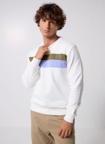 Sweatshirts Sweaters SH5498 herren weiß Lacoste Sweatshirts Sweaters SH5498 herren weiß FARINE / OLIVE 06Y