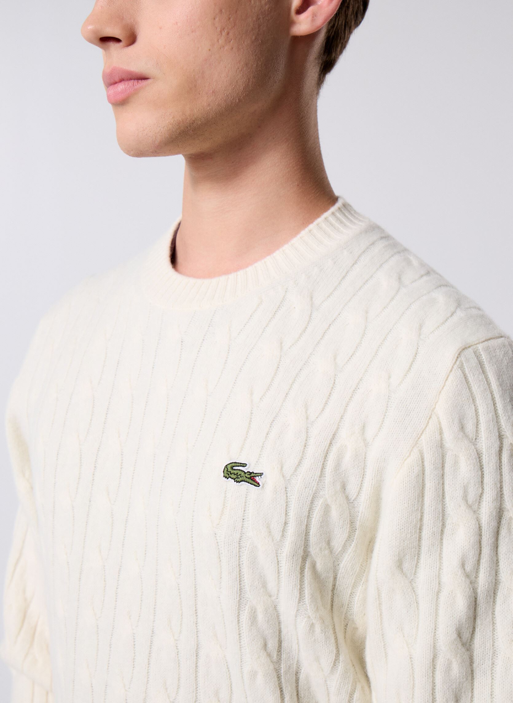 Pulls Pull Col Rond Torsadé AH2924 homme blanc Lacoste Pulls Pull Col Rond Torsadé AH2924 homme blanc LAPONIE