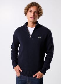Truien Pull Demi-Zip AH3052 heren blauw