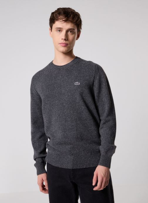 Lacoste Pulls Pull Col Rond AH5173 homme gris