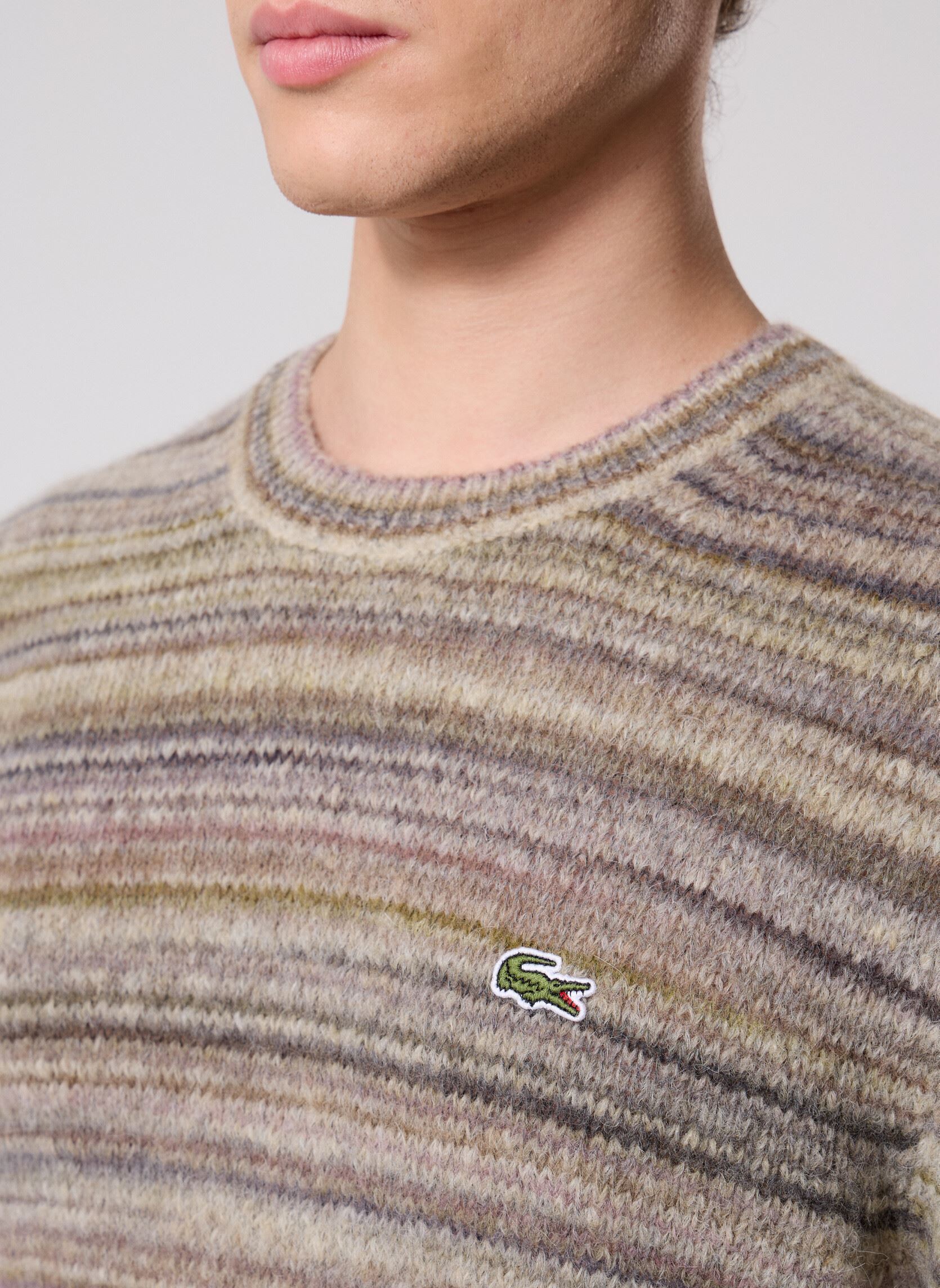 Pulls Pull Col Rond AH5221 homme marron Lacoste Pulls Pull Col Rond AH5221 homme marron ARGENT CHINE / OPIUM