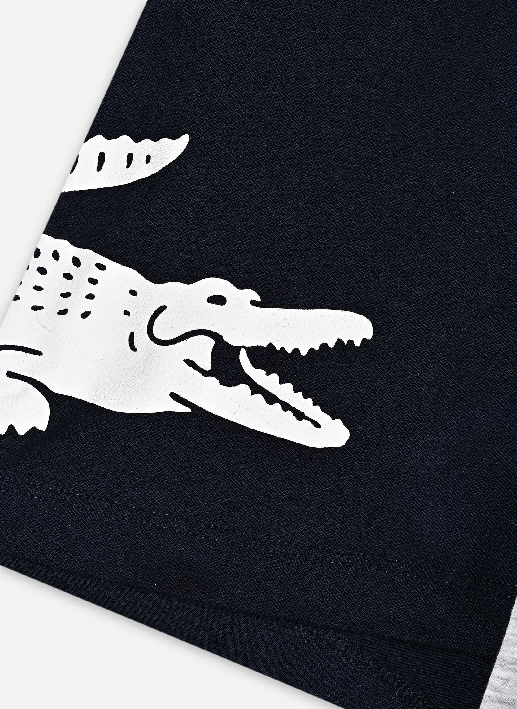 Caleçons Boxer 5H1291 homme bleu Lacoste Caleçons Boxer 5H1291 homme bleu MARINE/BLANC-ARGENT CHINE