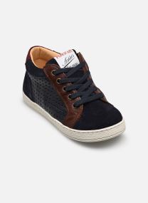 Niedrige Sneaker Mousse Lace Perfo jungen marineblau Pom d Api Niedrige Sneaker Mousse Lace Perfo jungen marineblau NAVY-BROWN